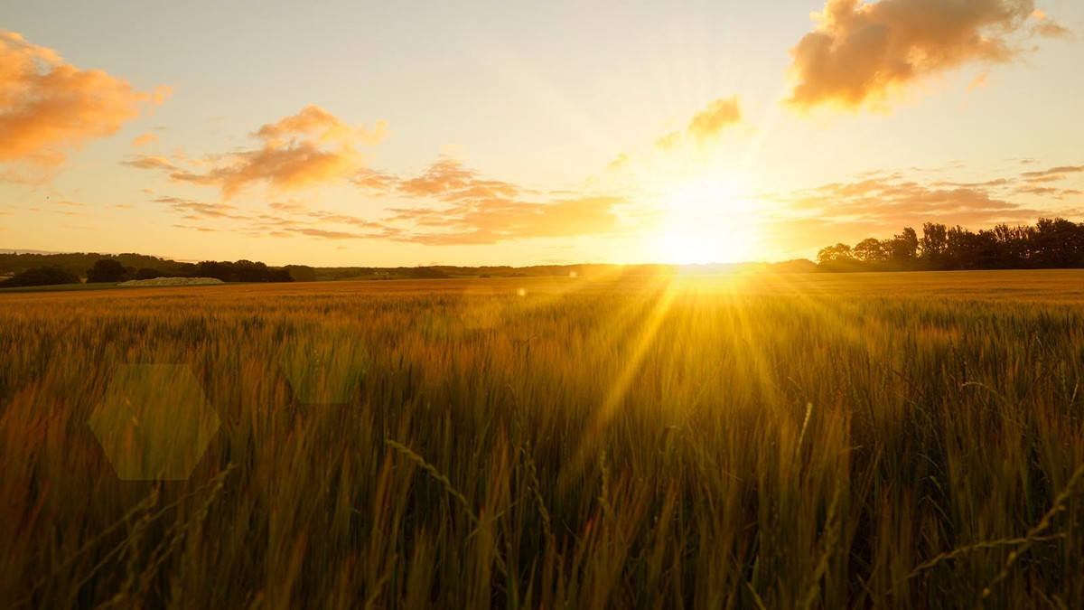 Về năng lượng, tỷ phú Musk dự đoán năng lượng Mặt trời sẽ là nguồn khai thác ưu tiên ở tương lai. Ông cho rằng, Mặt trời sẽ trở thành nguồn năng lượng áp đảo, vượt xa mọi hình thức khác như than, khí, hay thậm chí nhiệt hạch nhân tạo. Ảnh: UC Davis.