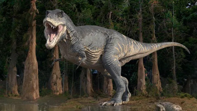 Trước đó, các nhà khoa học đã tìm thấy hóa thạch của loài khủng long có sừng ở Bắc Mỹ và châu Á. Với sự thiếu vắng ở châu Âu, các nhà cổ sinh vật học băn khoăn không biết loài khủng long này có từng phân bố ở khu vực này hay không. Ảnh: ROGER HARRIS/SCIENCE PHOTO LIBRARY via Getty Images.