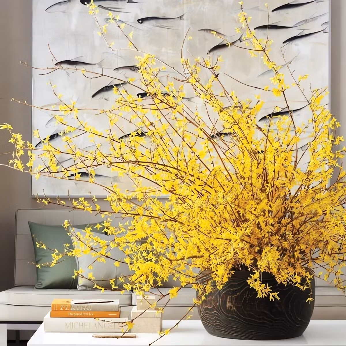 3. Từ châu Á đến phương Tây – hành trình đầy duyên dáng: Ban đầu, Forsythia được yêu thích tại Nhật Bản, Trung Quốc, Hàn Quốc, rồi theo chân các nhà thám hiểm đến châu Âu đầu thế kỷ 19. Không lâu sau, loài hoa này đã “chinh phục” các khu vườn ở Mỹ và Canada bằng vẻ đẹp tươi sáng và sức sống mãnh liệt.