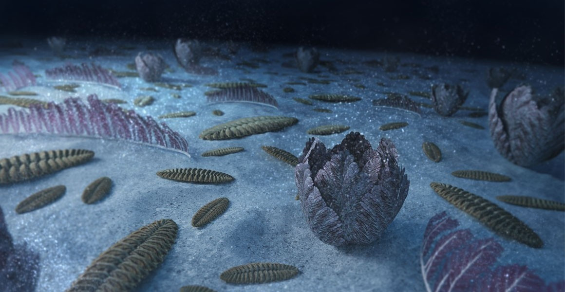 Một sản phẩm quan trọng của quá trình này là amoni. Theo chuyên gia Long Li, amoni đóng vai trò trung tâm trong quá trình tổng hợp phi sinh học các hợp chất hữu cơ, vốn là những khối xây dựng phân tử cần thiết cho sự hình thành các dạng sống sớm nhất. Ảnh: Hugo Salais (Metazoa Studio).