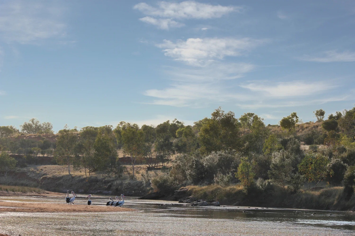 Nhà địa mạo học Victor Baker tại Đại học Arizona giải thích rằng, thay vì chảy song song với các cấu trúc đá cứng chắc, chẳng hạn như thạch anh, sông Finke lại cắt ngang qua các tầng khoáng chất cứng trên khi chảy qua dãy núi MacDonnell ở miền Trung Australia. Ảnh: Rebecca Sullivan.