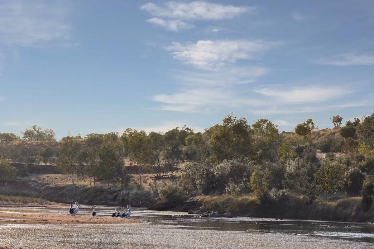 Nhà địa mạo học Victor Baker tại Đại học Arizona giải thích rằng, thay vì chảy song song với các cấu trúc đá cứng chắc, chẳng hạn như thạch anh, sông Finke lại cắt ngang qua các tầng khoáng chất cứng trên khi chảy qua dãy núi MacDonnell ở miền Trung Australia. Ảnh: Rebecca Sullivan.