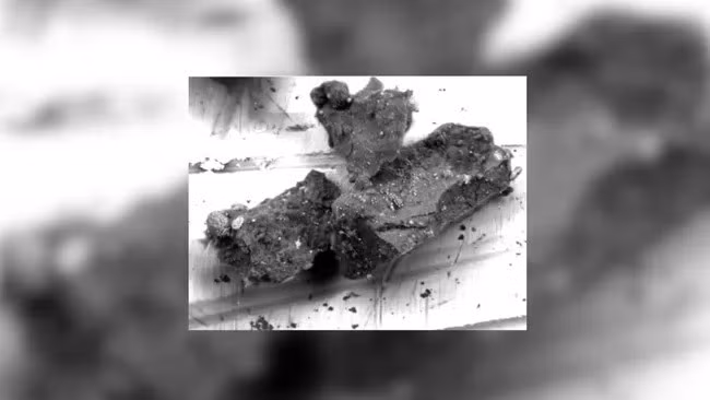 Các chuyên gia của Nhật Bản mới công bố kết quả nghiên cứu quan trọng về các mẫu đá được tàu vũ trụ Hayabusa2 mang về từ tiểu hành tinh Ryugu. Theo họ, đó là những mẫu đá lâu đời nhất từng được tìm thấy trong Hệ Mặt trời. Ảnh: Hiroshima University/Masaaki Miyahara.