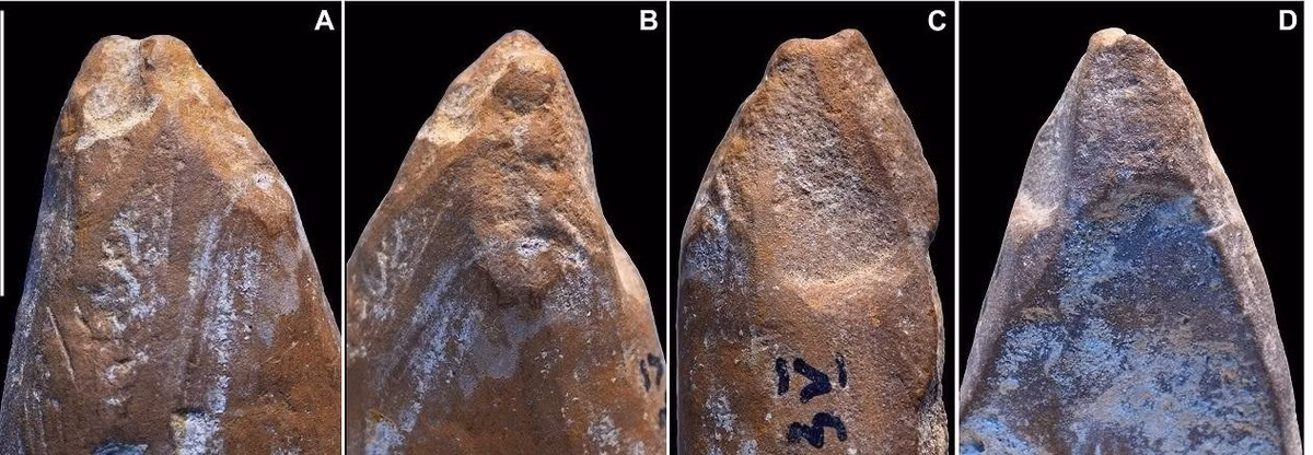 Phát hiện này bổ sung bằng chứng cho cuộc tranh luận về việc liệu người Neanderthal có khả năng sáng tạo nghệ thuật hay không. Ảnh: d’Errico et al., Science Advances (2025); CC BY 4.0.