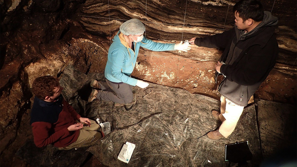 Phát hiện này cung cấp bằng chứng đầu tiên về việc những người hiện đại đầu tiên có thể đã từng sống cùng với những loài người cổ đại khác hơn 44.000 năm trước tại hang Denisovan. Ảnh: Richard G. Roberts.