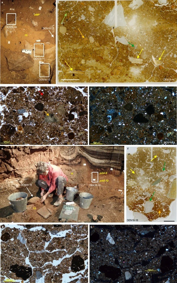 Thêm nữa, các nhà nghiên cứu tìm thấy ADN ty thể của người hiện đại xuất hiện cùng lúc với các công cụ và đồ vật có sự đa dạng về thiết kế, vượt trội hơn so với các đồ tạo tác cổ hơn. Ảnh: nature.com.