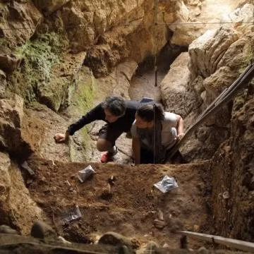 Cho đến cuối thời kỳ này, người Neanderthal đầu tiên mới đến khu vực này, sau đó cả người Denisovan và người Neanderthal cùng chung sống trong hang Denisovan. Ảnh: arch.ox.ac.uk.