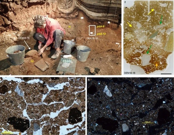 Đặc biệt, trong khoảng thời gian từ 130.000 - 100.000 năm trước, không có ADN người Denisovan nào được tìm thấy trong trầm tích. Hơn nữa, khi người Denisovan quay trở lại sau giai đoạn này. Ảnh: nature.com.