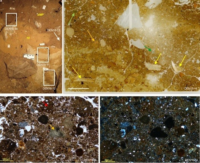 Các nhà nghiên cứu cũng phát hiện ADN của một đứa trẻ có mẹ là người Neanderthal trong khi cha là người Denisovan. Ảnh: nature.com.