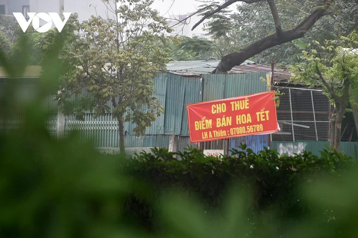 Ghi nhận của phóng viên, đến thời điểm hiện tại tình trạng lộn xộn kinh doanh buôn bán đào quất chiếm vỉa hè, lòng đường rầm rộ như mọi năm nhưng một số tuyến phố đã xuất hiện rao cho thuê điểm bán hoa Tết. Ông Bá một người dân sống ở phố Lò Đúc (phường Hai Bà Trưng) cho biết, các năm trước tại khu vực vườn hoa Pasteur, Yersin thường không tổ chức chợ hoa nhưng năm nay lại cho hoạt động chợ hoa Tết. Việc này khiến người dân quanh đây bất ngờ do tạm thời mất không gian sinh hoạt thể dục".