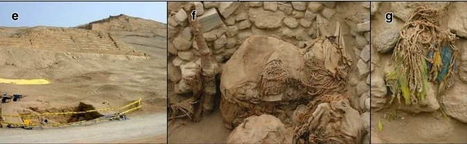 Theo các chuyên gia, việc nuôi nhốt vẹt quy mô lớn có thể không diễn ra ở chính Pachacamac do không tìm thấy xương vẹt, vỏ trứng hoặc dấu hiệu của các chuồng nuôi mà có thể ở xa hơn về phía Bắc, tại Đế chế Chimu, nơi họ buôn bán lông chim thu hoạch được về phía Nam cho Ychsma. Ảnh: I. Shimada.