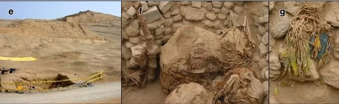 Theo các chuyên gia, việc nuôi nhốt vẹt quy mô lớn có thể không diễn ra ở chính Pachacamac do không tìm thấy xương vẹt, vỏ trứng hoặc dấu hiệu của các chuồng nuôi mà có thể ở xa hơn về phía Bắc, tại Đế chế Chimu, nơi họ buôn bán lông chim thu hoạch được về phía Nam cho Ychsma. Ảnh: I. Shimada.