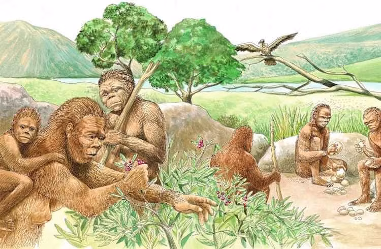 Nhóm nghiên cứu còn phát hiện thêm các dấu hiệu đi thẳng khác như sự xoắn tự nhiên của xương đùi giúp chân hướng về phía trước, cơ mông ổn định hông và hỗ trợ đứng, đi bộ và chạy. Ảnh: history.com.