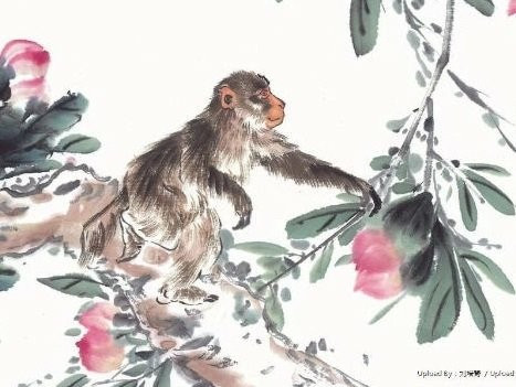 Với tài chính dư dả, tuổi Thân có thể tận hưởng cuộc sống sung túc bên các thành viên trong gia đình. Con giáp này cũng lên kế hoạch cho chuyến du lịch dài ngày cùng gia đình hoặc những người bạn thân như một phần thưởng vì đã sống và làm việc chăm chỉ.