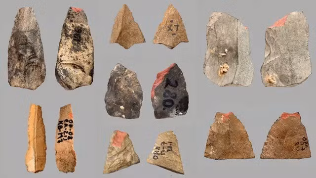 Các cuộc khai quật trước đây tại địa điểm này đã tìm thấy nhiều công cụ của người tiền sử, bao gồm các lưỡi dao mỏng và rộng, những lưỡi dao nhỏ... Tuy nhiên, các hiện vật mới - các mũi nhọn tam giác nhỏ, được gọi là "microlith" đã bị bỏ sót trong các cuộc khảo sát trước đó vì bị vỡ. Ảnh: Plisson et al., PLOS One.