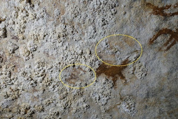 Theo các nhà nghiên cứu, một số đầu ngón tay còn được cố ý chỉnh sửa để trông nhọn hơn. Ảnh: theconversation.com.