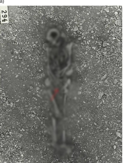 Mặt dây chuyền là một trong số hàng chục hiện vật được tìm thấy trong ngôi mộ. Các chuyên gia đã tìm thấy 8 mặt dây chuyền khác, 4 nhẫn bạc, một bàn cờ bằng xương và một đồng xu bạc Hồi giáo. Ảnh: Kopparsvik / Toplak / Matt Hitchcock.