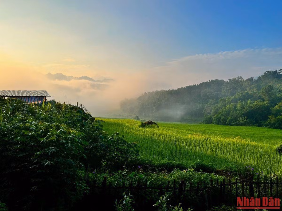 Trong số này, Khu Bảo tồn thiên nhiên Pù Luông là nơi cư trú của 20 loài được liệt kê trong sách đỏ Việt Nam (2024), trong đó có 4 loài cực kỳ nguy cấp (CR) và 4 loài nguy cấp (EN), 13 loài trong danh lục đỏ (IUCN -2024), 9 loài trong công ước CITES (2023)... Ảnh: Nhân dân.