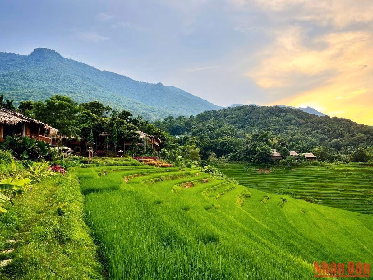 Khu Bảo tồn thiên nhiên Pù Luông có tổng diện tích 16.986 ha, nằm trên địa bàn 5 xã vùng cao của tỉnh Thanh Hóa gồm: Pù Luông, Cổ Lũng, Hồi Xuân, Phú Xuân và Phú Lệ. Trong khu bảo tồn thiên nhiên này có 908 loài động vật, 1.597 loài thực vật. Ảnh: Nhân dân.