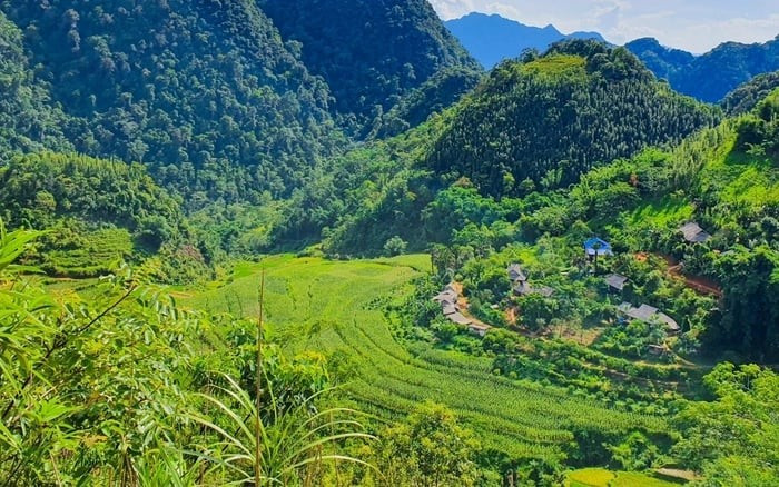 View - Sửng sốt phát hiện loài ếch 'lạ' trong rừng sâu Thanh Hóa | Báo Tri thức và Cuộc sống - TIN TỨC PHỔ BIẾN KIẾN THỨC 24H