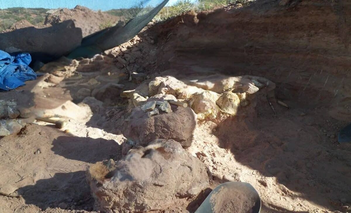 Yeneen houssayi là một thành viên hoàn toàn mới của nhánh khủng long chân thằn lằn Titanosauria, tức "thằn lằn hộ pháp" - nhóm những "quái vật" khổng lồ từng xuất hiện trên Trái đất. Ảnh: gentileza investigador.