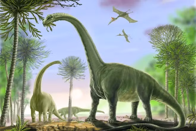 Hóa thạch này là một trong những bộ xương hoàn chỉnh nhất của thằn lằn hộ pháp được tìm thấy tại đây. Mẫu vật được bảo quản khá tốt với 6 đốt sống cổ, 10 đốt sống lưng với các xương sườn liên quan, xương cùng và đốt sống đuôi đầu tiên. Ảnh: David Roland/Shutterstock.