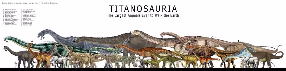 Giống như nhiều loài thằn lằn hộ pháp khác, Yeneen houssayi có cơ thể to lớn với 4 chân to như cột đình, cổ và đuôi đều rất dài. Ảnh: dinosaurking.fandom.com.