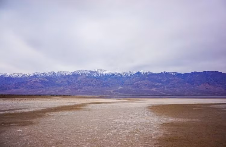 Nhờ lượng mưa bất thường trong những tháng qua, nước bắt đầu dồn về Badwater Basin - khu vực tọa lạc hồ Manly. Mặc dù hiện tại mực nước ở nhiều khu vực còn rất nông, thậm chí chưa đủ ngập giày nhưng sự xuất hiện của mặt hồ Manly vẫn được xem là một sự kiện hiếm hoi và mang tính biểu tượng. Ảnh: Savannah M. Sanford/NPS.