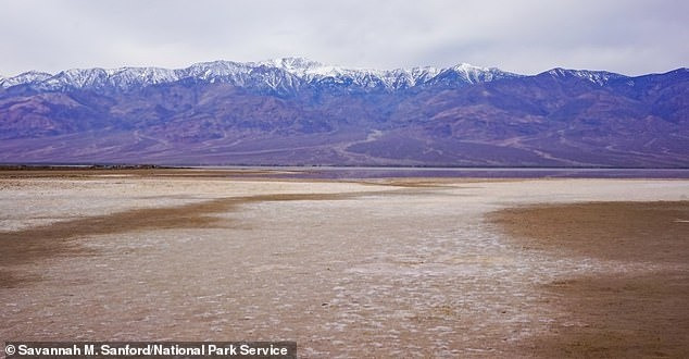 Tuy nhiên, vào tuần trước, Cục Công viên Quốc gia (NPS) cho biết khu vực Vườn quốc gia Thung lũng Chết đã trải qua mùa Thu ẩm ướt nhất trong lịch sử khi nhận được lượng mưa lớn. Nhờ đó, hồ Manly xuất hiện trở lại sau nhiều thập kỷ biến mất. Ảnh: Savanna M.Sanford/National Park Service.