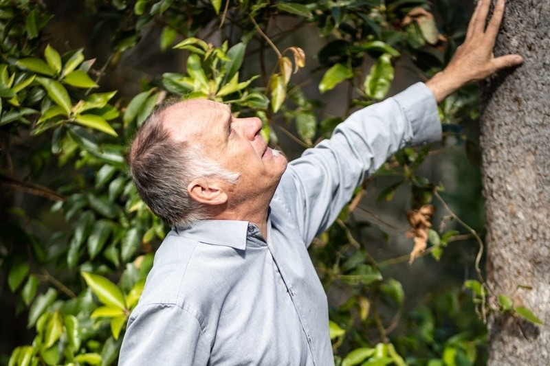 Các chuyên gia cho biết bệnh gỉ sắt trên cây sim có nguồn gốc từ Nam Mỹ - nơi các loài thực vật bản địa cùng tiến hóa với nấm gây bệnh đã phát triển khả năng kháng lại nó. Ảnh: The University of Queensland.