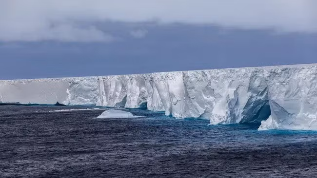 Đến tháng 9/2025, diện tích của A23a giảm xuống còn 1.700 km2 sau khi một số mảng vỡ ra. Tính đến ngày 9/1/2026, diện tích tảng băng chỉ còn 1.182 km2. Ảnh: Samuel J Cole/Getty Images.