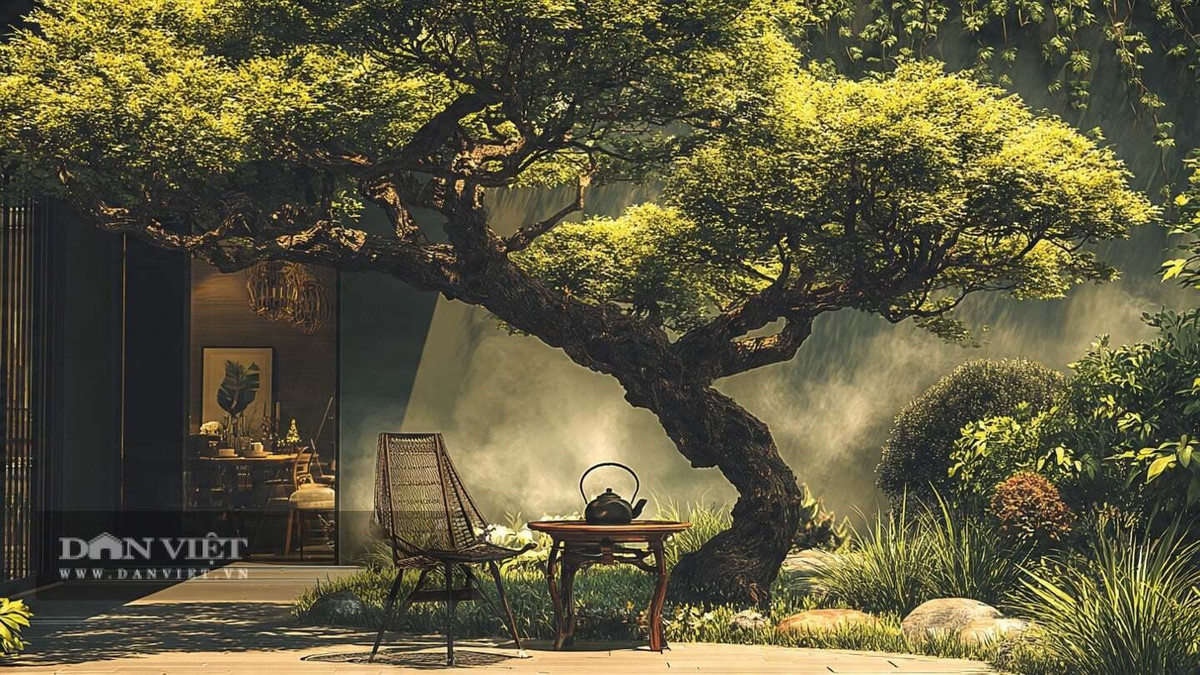 Theo quan niệm dân gian, cây hòe trồng ở cửa nhà có khả năng xua đuổi tà khí, bảo vệ gia chủ khỏi điều xấu. Người xưa thường ngồi dưới tán hòe để tận hưởng không khí mát lành, coi đó là nơi nuôi dưỡng tinh thần và sức khỏe.