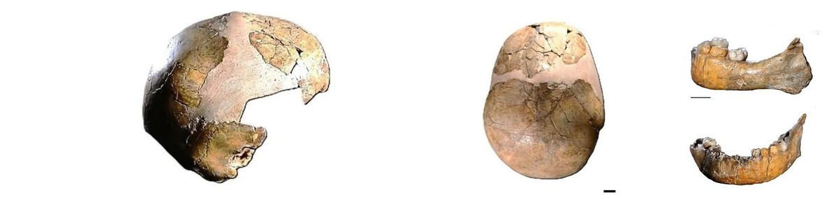 Sự kết hợp đáng chú ý này cung cấp bằng chứng sớm nhất về mối quan hệ sinh học và xã hội giữa người Neanderthal và người hiện đại. Ảnh: Israel Hershkovitz.