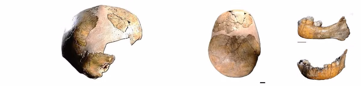 Sự kết hợp đáng chú ý này cung cấp bằng chứng sớm nhất về mối quan hệ sinh học và xã hội giữa người Neanderthal và người hiện đại. Ảnh: Israel Hershkovitz.