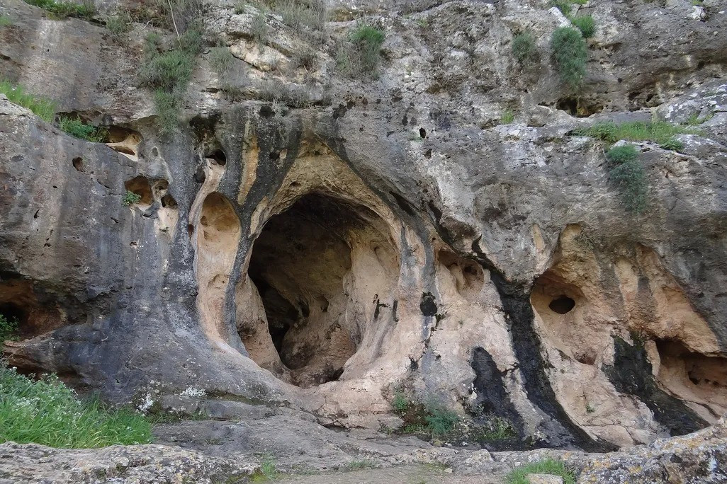 Hài cốt của đứa trẻ 5 tuổi trên được tìm thấy khoảng 90 năm trước trên núi Carmel cho thấy sự kết hợp độc đáo giữa các đặc điểm giải phẫu của cả người Homo sapiens và người Neanderthal. Ảnh: Hanay via Wikimedia Commons under CC BY-SA 4.0.