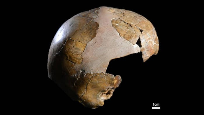 Cụ thể, trong nghiên cứu mới được công bố trên tạp chí l'Anthropologie, các chuyên gia công bố bằng chứng vật lý đầu tiên cho thấy người Neanderthal và người hiện đại (Homo sapiens) đã giao phối sớm hơn 100.000 năm so với các ghi nhận trước đây. Ảnh: Israel Hershkovitz/Tel Aviv University.