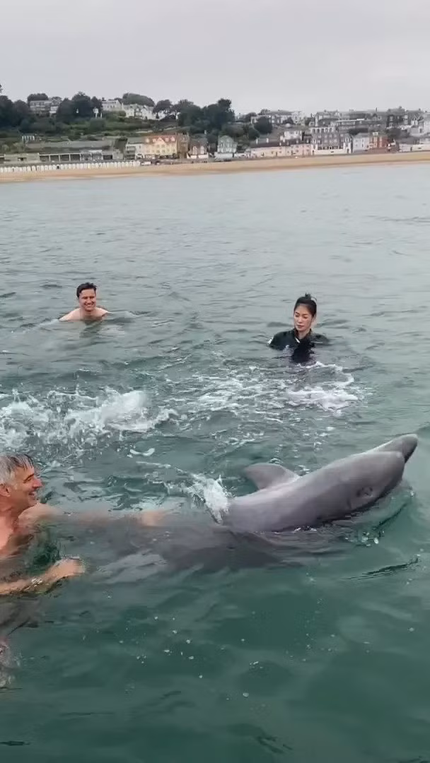 "Hành vi này thực sự giống như con cá heo mũi chai đang chơi đùa. Con vật này vui đùa với gia đình Lynda và họ đã cho con vật không gian để di chuyển khi nó muốn", Giám đốc Taylor chia sẻ. Ảnh: SWNS.