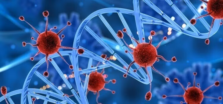 Tiếp đến, hơn 50% người dân Mỹ tin rằng, căn bệnh ung thư có thể được chữa khỏi vào năm 2025 và 61% người được hỏi kỳ vọng "mọi người sẽ sống thọ tới 100 tuổi". Ảnh: shalby.org.