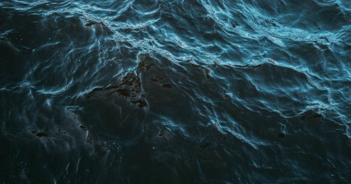 Sinh vật giống sứa lửa, có màu xanh lam đã được các chuyên gia phát hiện ngoài khơi Nhật Bản. Sự xuất hiện của loài sứa này cũng như màu xanh lam của chúng đang dấy lên lo ngại về những biến đổi nhanh chóng của đại dương đang tác động tới hệ sinh thái biển. Ảnh: goodgoodgood.co.