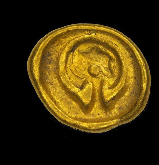 View - Chuyên gia dò kim loại tìm thấy đồng tiền vàng cực hiếm | Báo Tri thức và Cuộc sống - TIN TỨC PHỔ BIẾN KIẾN THỨC 24H