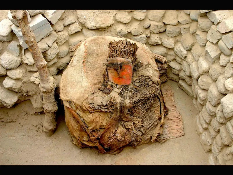 Khoảng 20 năm trước, các nhà nghiên cứu đã tìm thấy một số lông chim của loài vẹt trong ngôi mộ khoảng 1.000 năm tuổi. Phân tích mới của các chuyên gia đã tiết lộ "hành trình hoàn chỉnh của những chiếc lông chim này", bao gồm nguồn gốc của những con chim, thức ăn của chúng và những tuyến đường vận chuyển trước khi được bán cho Yschma - xã hội tiền Inca phát triển mạnh từ khoảng năm 1000 - 1470. Ảnh: Izumi Shimada.