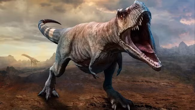 Để đi đến khám phá mới, nhóm nghiên cứu đã giám định 17 mẫu hóa thạch khủng long bạo chúa dưới ánh sáng phân cực. Nhờ đó, họ xác định được những vòng tăng trưởng chưa từng phát hiện trước đó. Ảnh: Shutterstock.