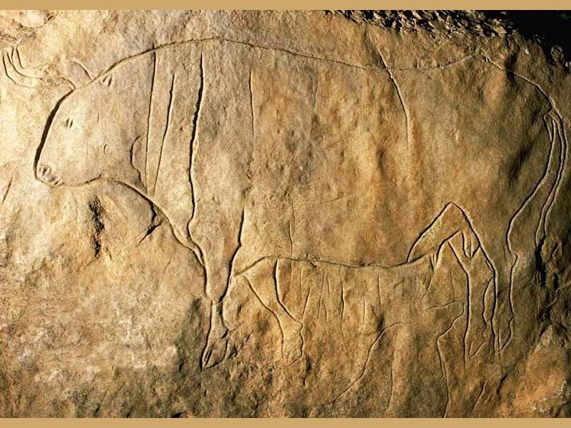 Bác sĩ Adrian cho biết thêm bệnh AMDM là do đột biến trên cả hai nhiễm sắc thể của gene NPR2, đóng vai trò quan trọng trong sự phát triển của xương. Ảnh: preistoriainitalia.it.