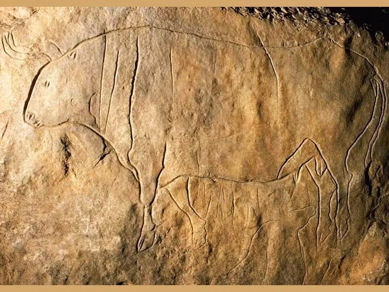 Bác sĩ Adrian cho biết thêm bệnh AMDM là do đột biến trên cả hai nhiễm sắc thể của gene NPR2, đóng vai trò quan trọng trong sự phát triển của xương. Ảnh: preistoriainitalia.it.