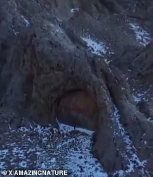 Đoạn video trên cũng được đăng lên mạng xã hội X (Twitter). Ở độ cao khoảng 2.000m so với mực nước biển, Dzungarian Alatau được biết đến với các sườn núi hiểm trở, các sống núi và các pháo đài. Ảnh: X/AMZINGNATURE.