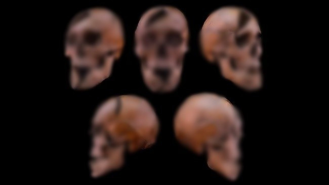 Phân tích pháp y của các chuyên gia về một bộ hài cốt 750 năm tuổi đã tiết lộ rằng, công tước Hungary sống vào thời Trung cổ đã bị sát hại dã man bởi ít nhất 3 kẻ tấn công. Ảnh: Eötvös Loránd University.