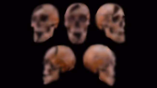 Phân tích pháp y của các chuyên gia về một bộ hài cốt 750 năm tuổi đã tiết lộ rằng, công tước Hungary sống vào thời Trung cổ đã bị sát hại dã man bởi ít nhất 3 kẻ tấn công. Ảnh: Eötvös Loránd University.