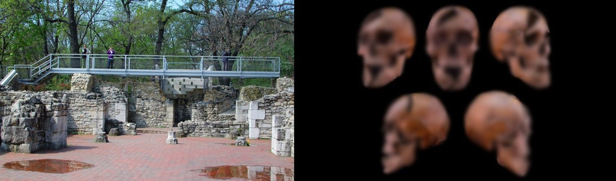 Dựa trên vị trí chôn cất và dấu hiệu chấn thương trên bộ hài cốt, người ta suy đoán danh tính của người này là Công tước Béla, cháu trai của nhà vua Hungary Béla IV. Công tước Béla sinh vào khoảng năm 1243 và theo một ghi chép lịch sử đề cập đến vụ ám sát chàng trai trẻ này diễn ra vào năm 1272. Ảnh: Eötvös Loránd University/Petr Šmerkl/CC BY-SA 3.0.