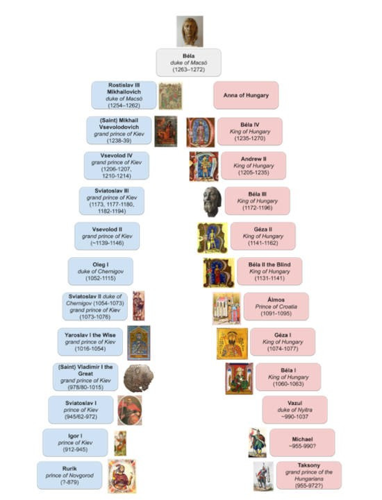 Theo nhóm nghiên cứu, tình trạng vết thương trên cơ thể cho thấy khi bị tấn công, Công tước Béla đã không có kiếm hay khiên để tự vệ. Độ sâu của các vết cắt trên thi thể cũng cho thấy Công tước Béla không mặc áo giáp vào thời điểm đó, cho thấy đây là một vụ ám sát có chủ đích, được lên kế hoạch từ trước và chắc chắn sẽ rất đẫm máu. Ảnh: Gyula Skultéty/Eötvös Loránd University).