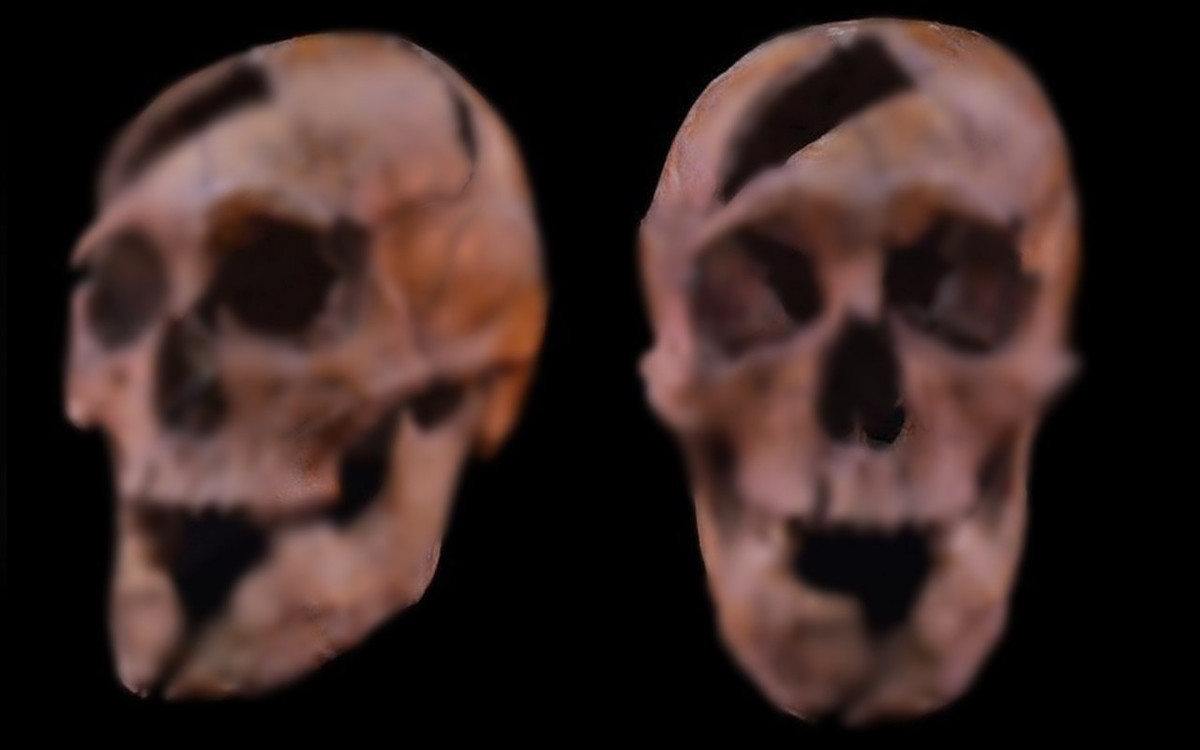 Cụ thể, nghiên cứu mới của các chuyên gia chỉ ra Béla, Công tước xứ Macsó, đã bị đâm hơn 20 nhát bằng nhiều loại vũ khí, bao gồm một thanh kiếm và một thanh trường kiếm. Ảnh: Eötvös Loránd University.